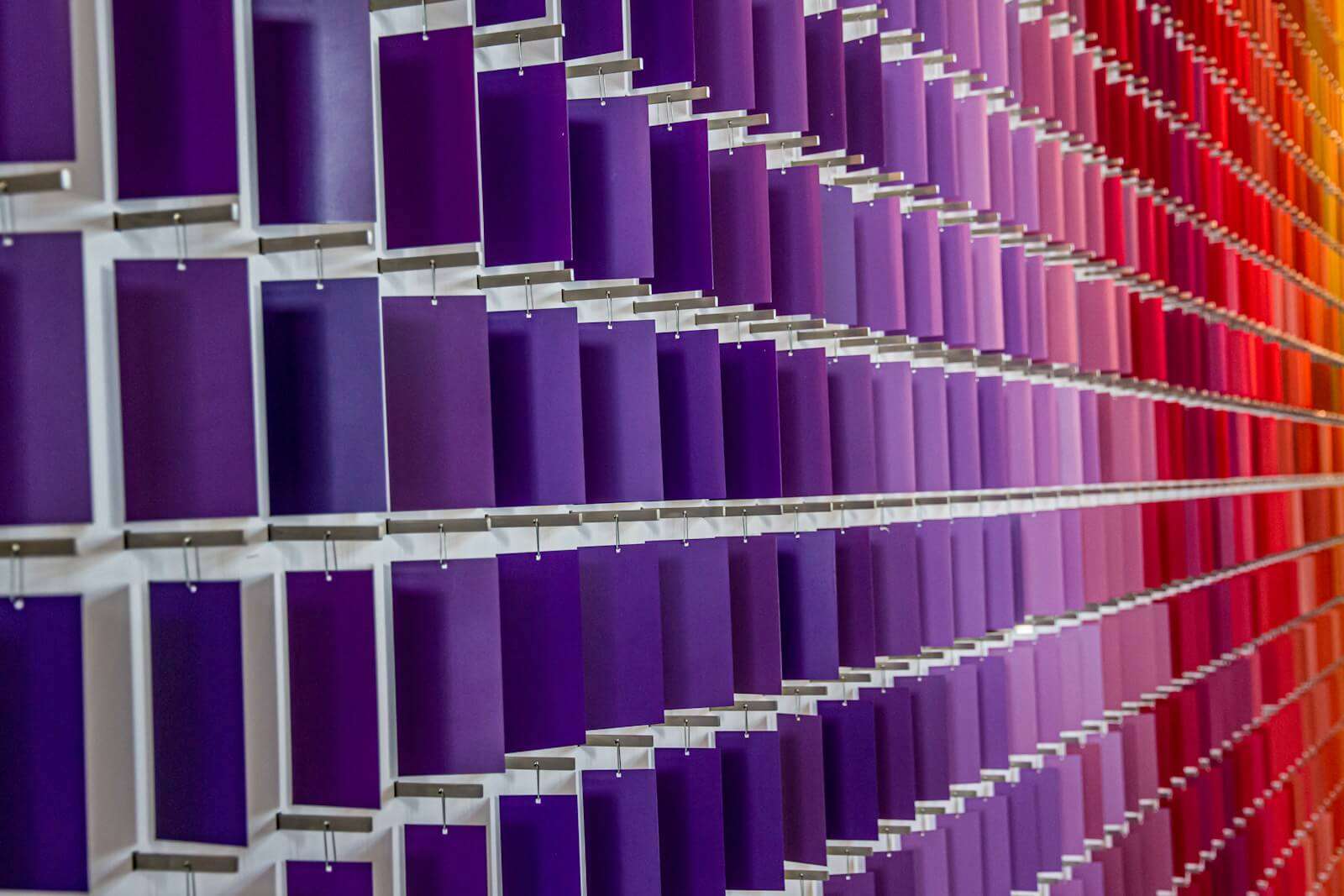 a colorful wall with lots of different colors- branding color palette color theory