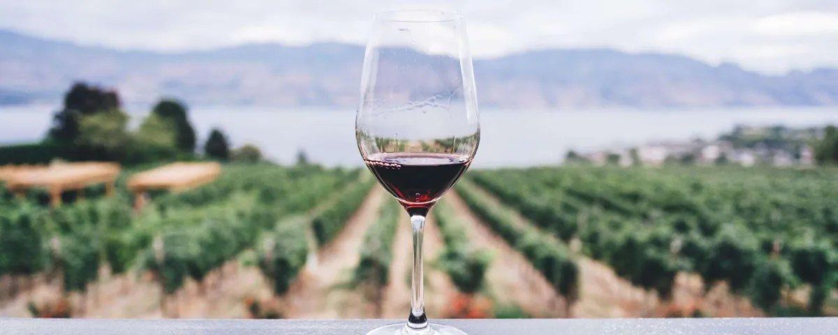 A glass of red wine on a railing overlooking rows of vines and a lake beyond.