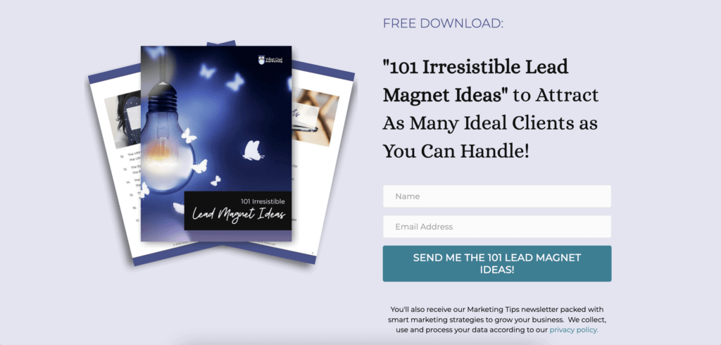 screenshot of a lead magnet landing page