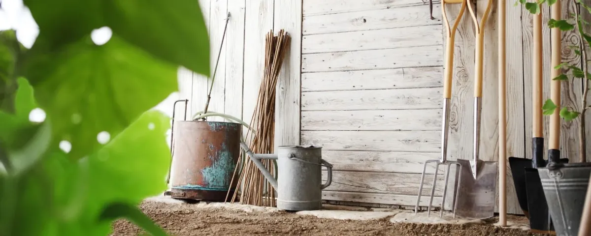 garden tools leaning up against the inside of a white barn with a plant in the foreground