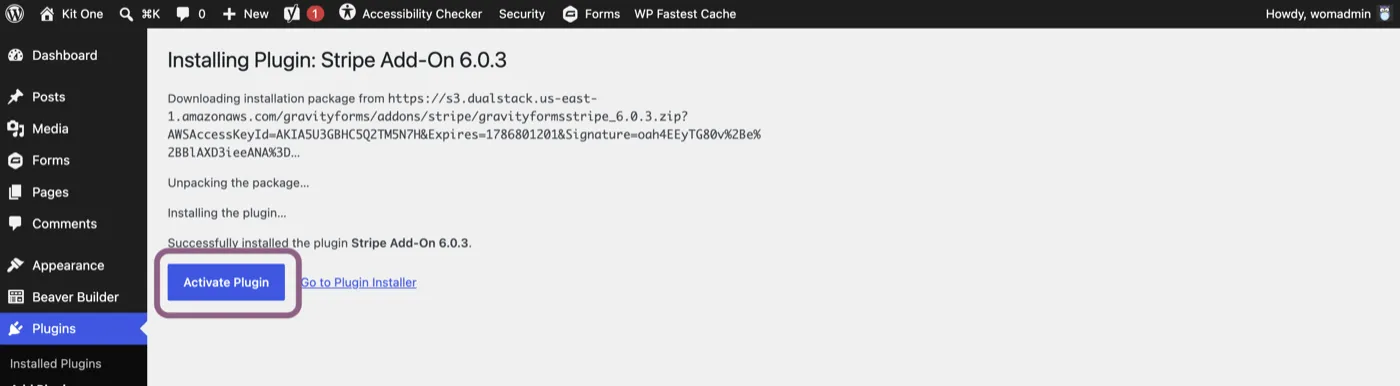 WordPress plugin installer showing the Stripe Add-On installed with the Activate Plugin button