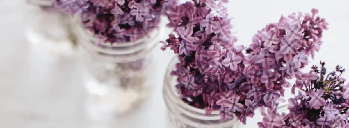 lavender flowers to care for yourself