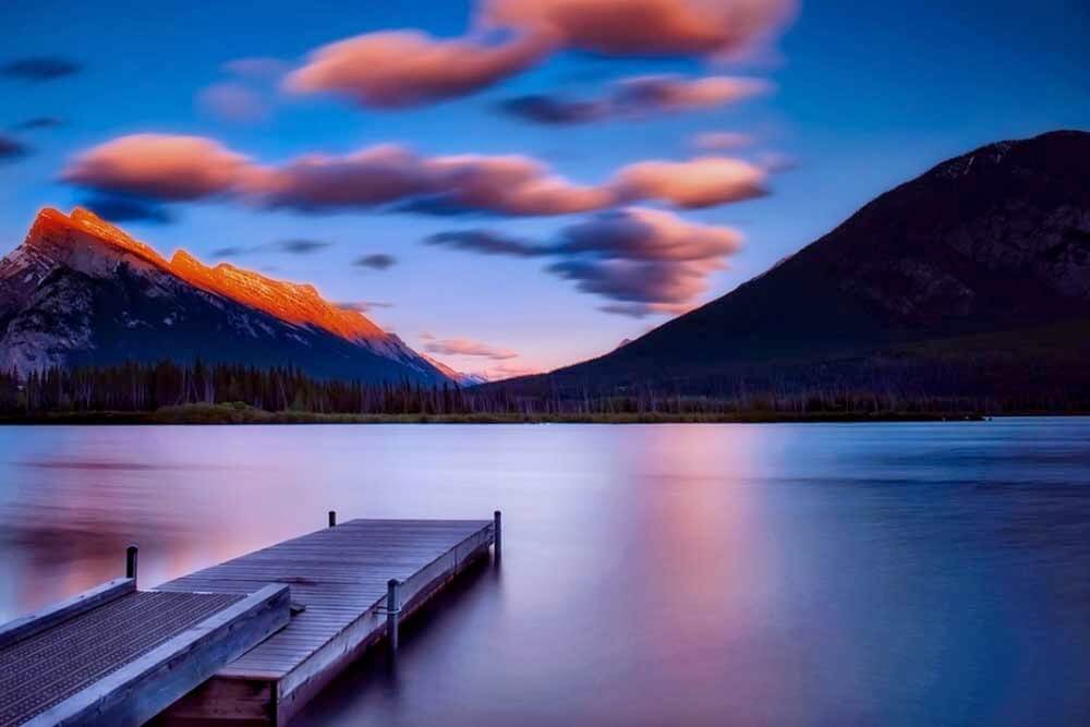 whitespace in photography