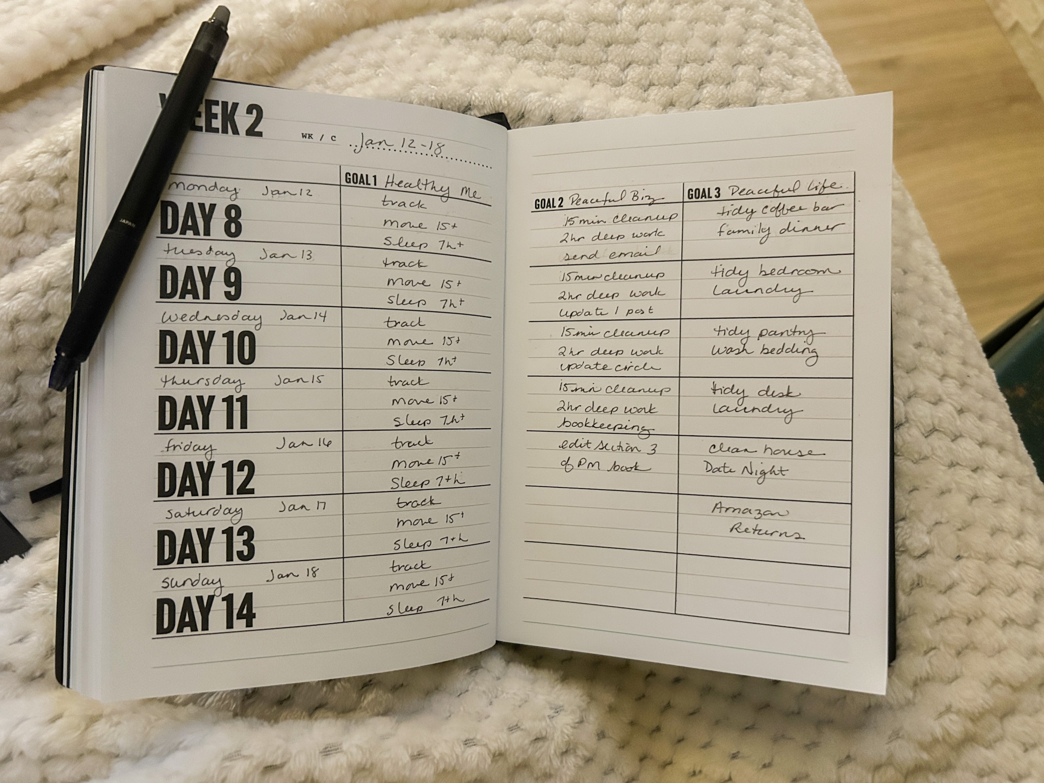 My 1% diary open showing my three 12-week goals, healthy me, peaceful business, peaceful life.