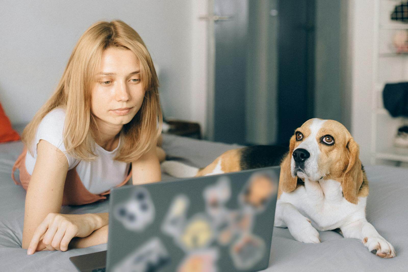 Creative woman working on a laptop designing a website with her dog by her side