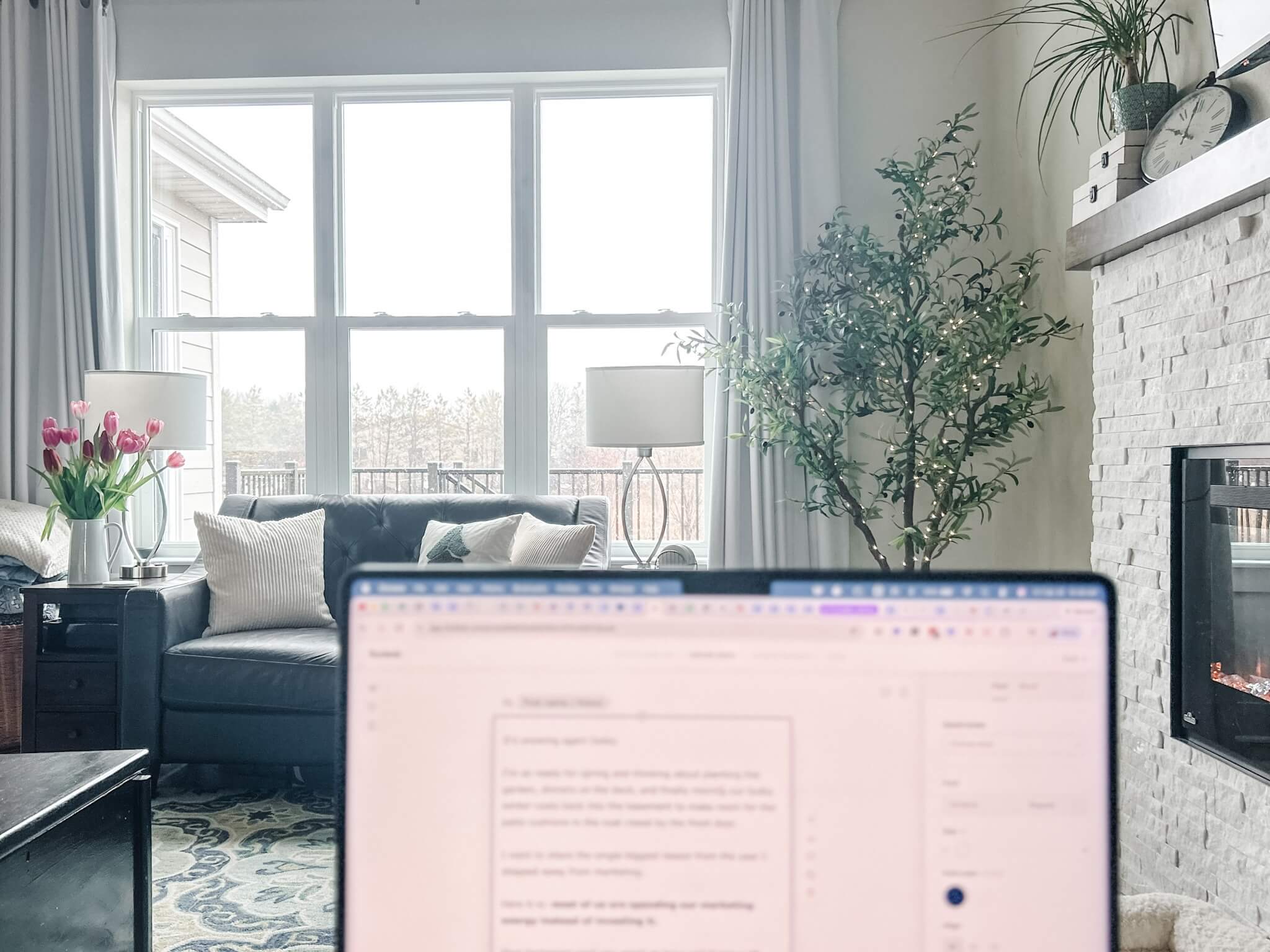 , sustainable marketing strategy