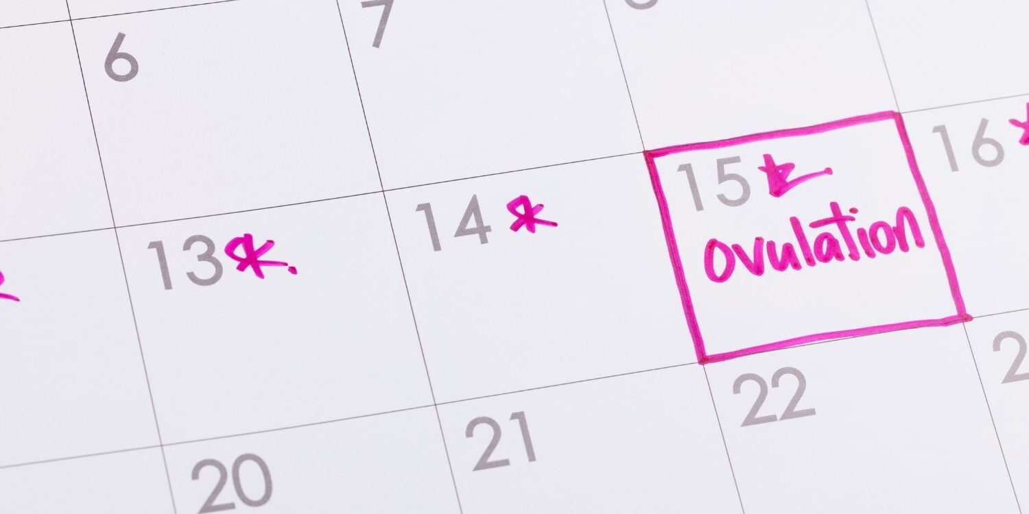 Image of calendar with ovulation day marked in pink marker for blog post image for post "Hormones and Marketing: How to Work with Your Body’s Rhythms for Maximum Results with Minimal Stress"