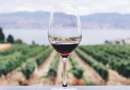 I Spent an Unplanned 140 Because of a Winery Lead Magnet