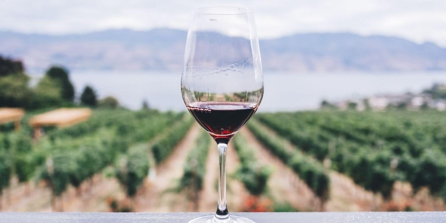 I Spent an Unplanned 140 Because of a Winery Lead Magnet