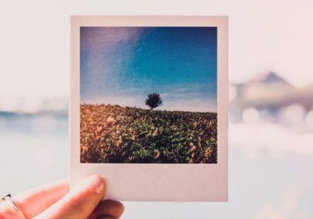 Royalty-Free Pictures for Your Blog, Social, and Email Marketing