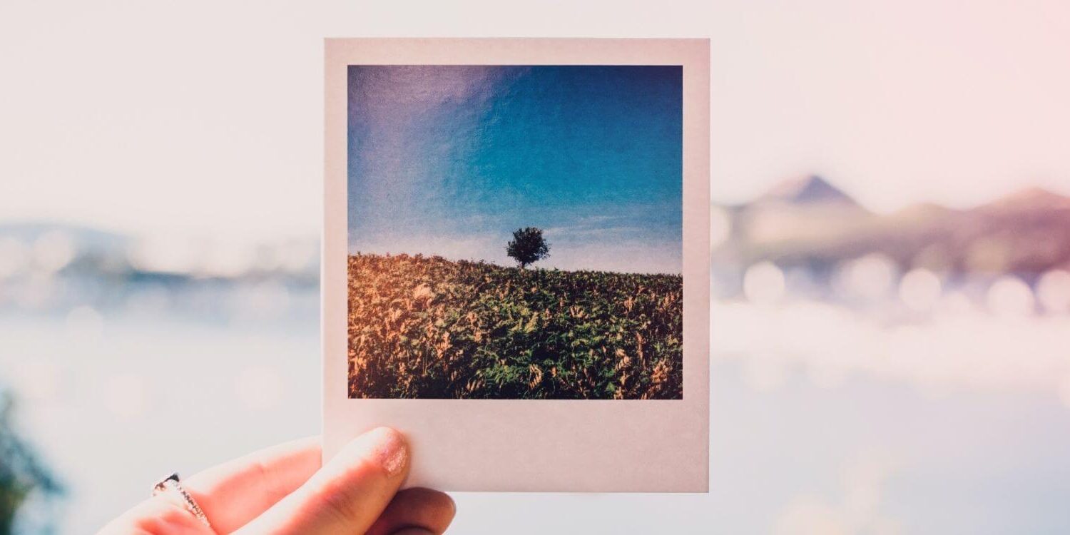 Royalty-Free Pictures for Your Blog, Social, and Email Marketing