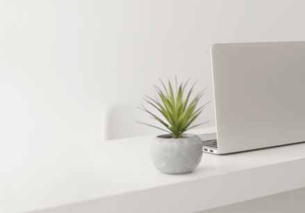 simple minimalist desk with a laptop and plant