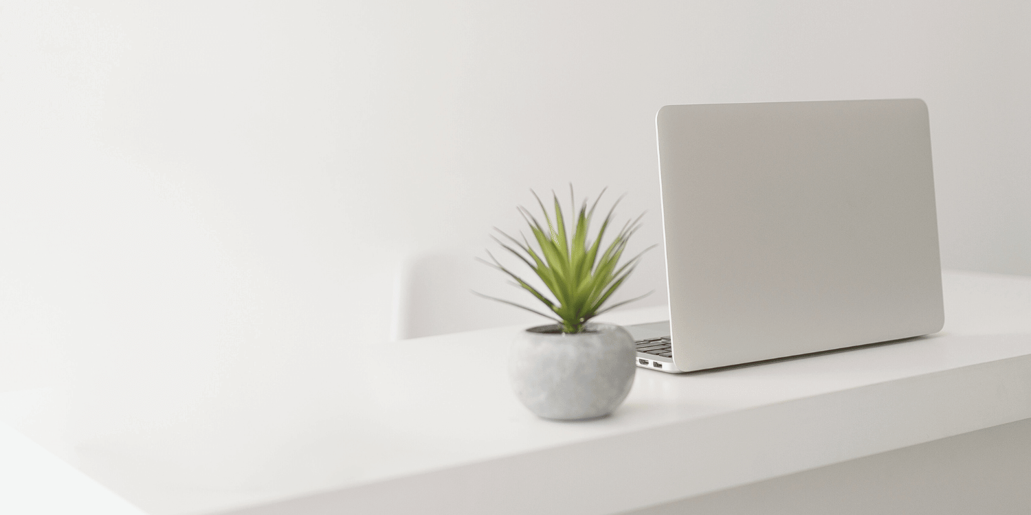 simple minimalist desk with a laptop and plant