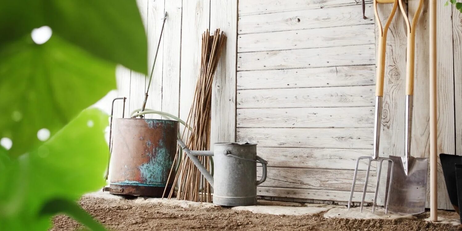 garden tools leaning up against the inside of a white barn with a plant in the foreground