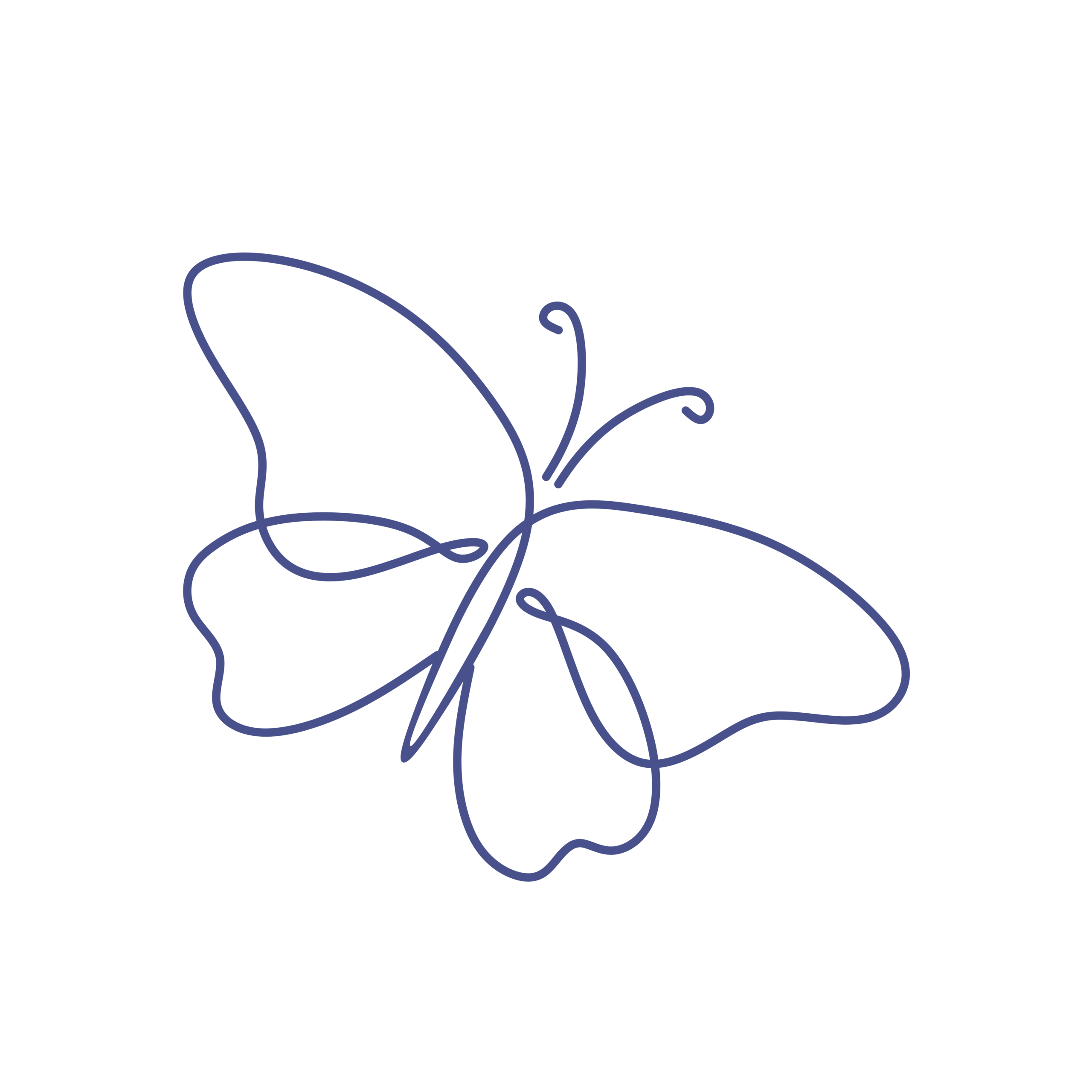 line drawing of a butterfly