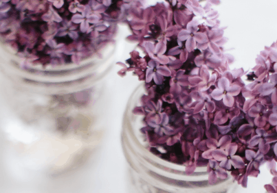 lavender flowers to care for yourself