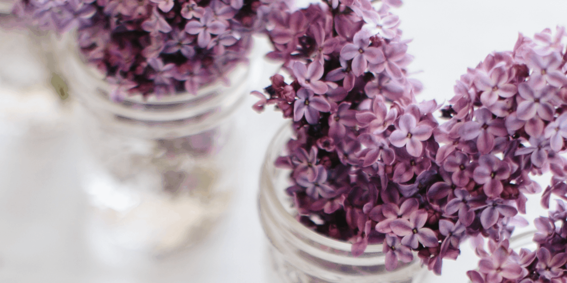 lavender flowers to care for yourself